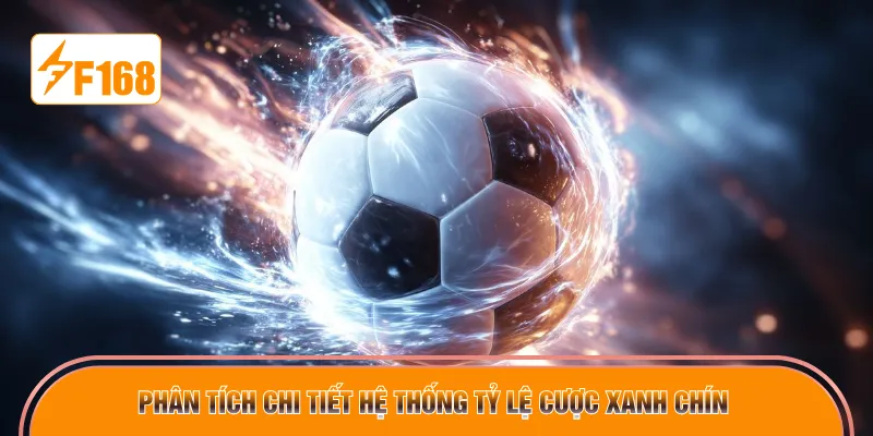 Phân tích chi tiết hệ thống tỷ lệ cược xanh chín
