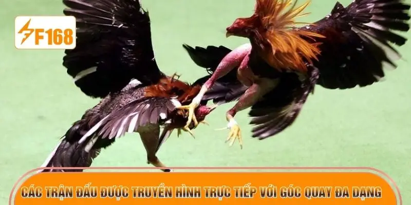 Các trận đấu được truyền hình trực tiếp với góc quay đa dạng 