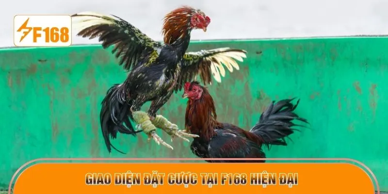 Giao diện đặt cược tại F168 hiện đại